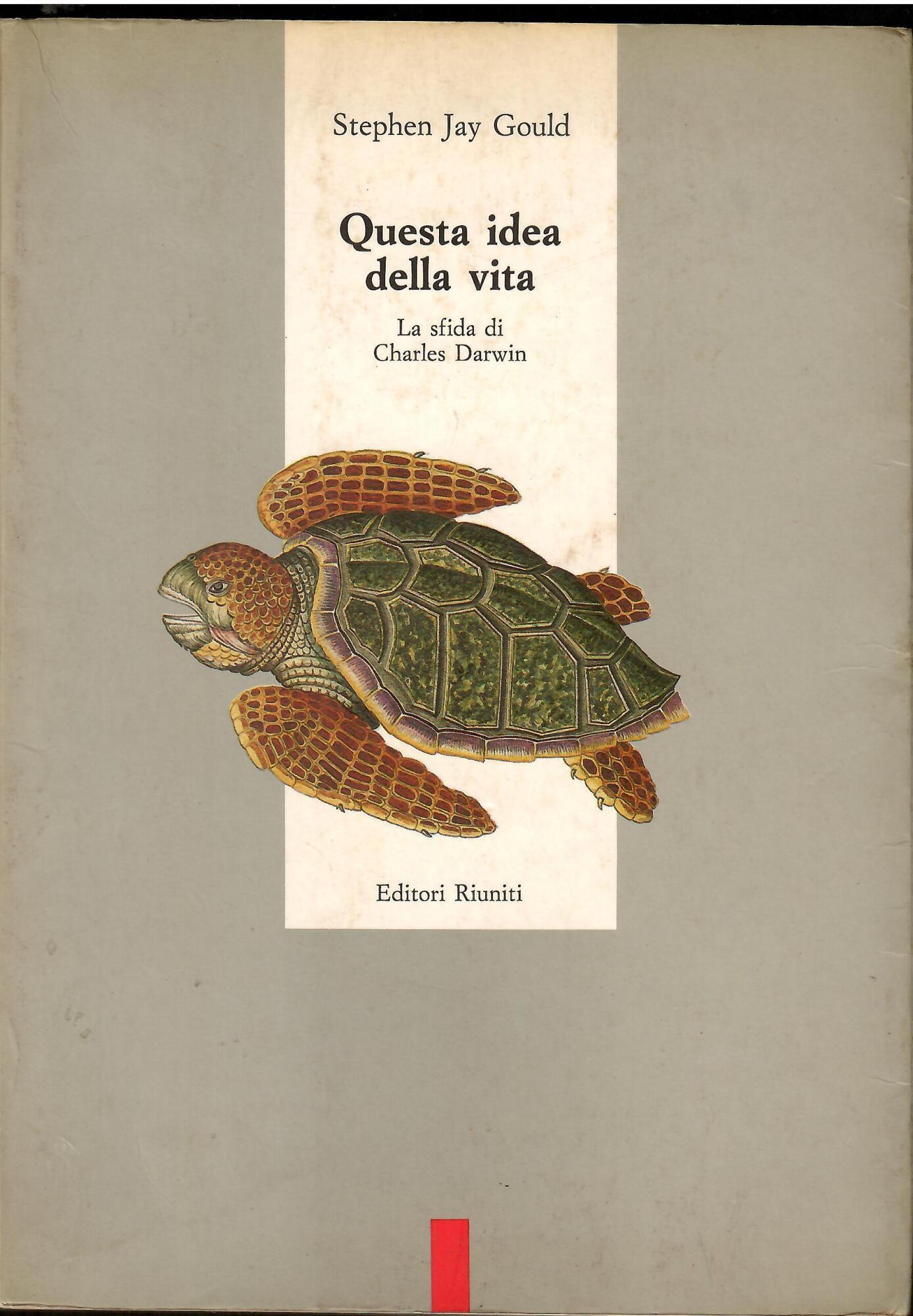 Libreria sottomarina