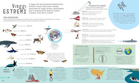 Misuriamo il mondo. Confrontiamo ciò che ci circonda. Ediz. a colori - Clive Giffon - 6