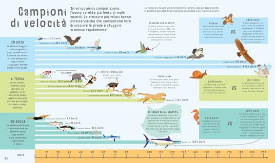 Misuriamo il mondo. Confrontiamo ciò che ci circonda. Ediz. a colori - Clive Giffon - 8
