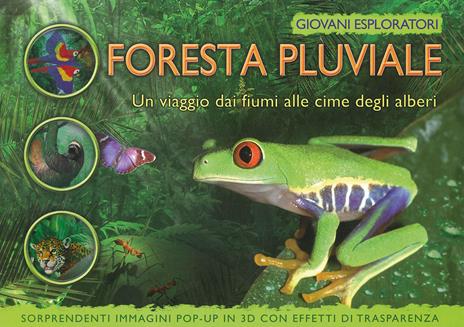 La foresta pluviale. Un viaggio dai fiume alle cime degli alberi. Ediz. illustrata - copertina