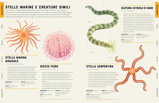 Enciclopedia degli animali. Ediz. a colori - Jules Howard - 3