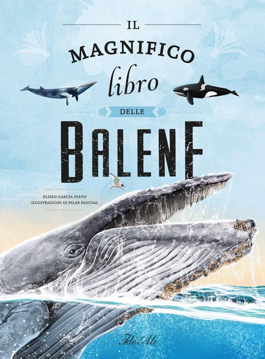 Il magnifico libro delle balene. Ediz. a colori - Eliseo García Nieto - copertina