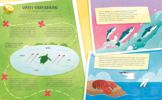 La vita segreta degli oceani - Moira Butterfield - 5