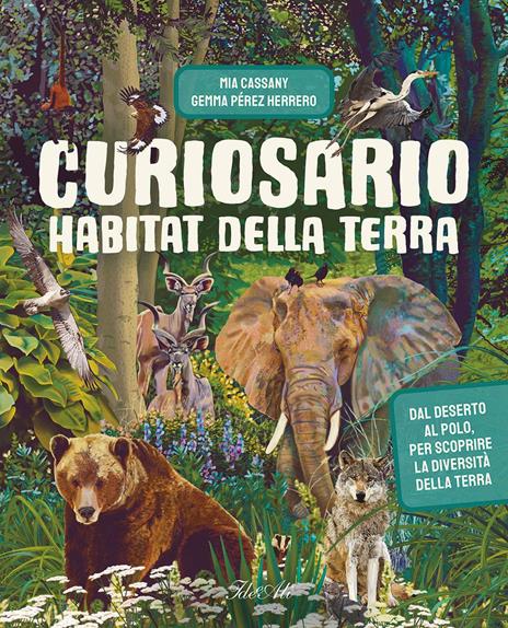 Curiosario. Ediz. a colori - Gemma Pérez Herrero - copertina