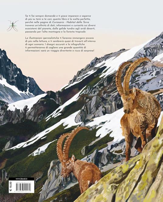 Curiosario. Ediz. a colori - Gemma Pérez Herrero - 5