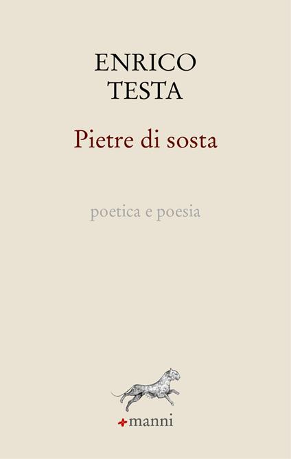 Pietre di sosta. Poetica e poesia - Enrico Testa - copertina