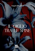 Nome prodotto