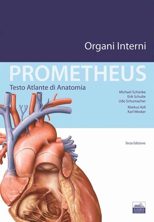Prometheus. Testo atlante di anatomia. Organi interni - Michael Schunke,Erik Schulte,Udo Schumacher - copertina
