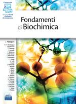 Fondamenti di biochimica