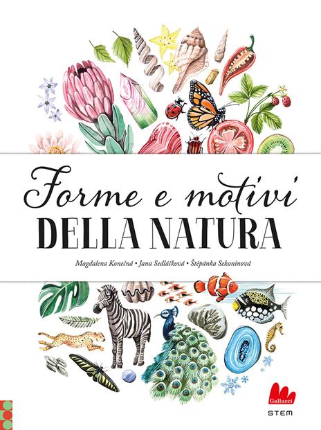Forme e motivi della natura. Ediz. a colori - Jana Sedlácková,Stepánka Sekaninová - copertina