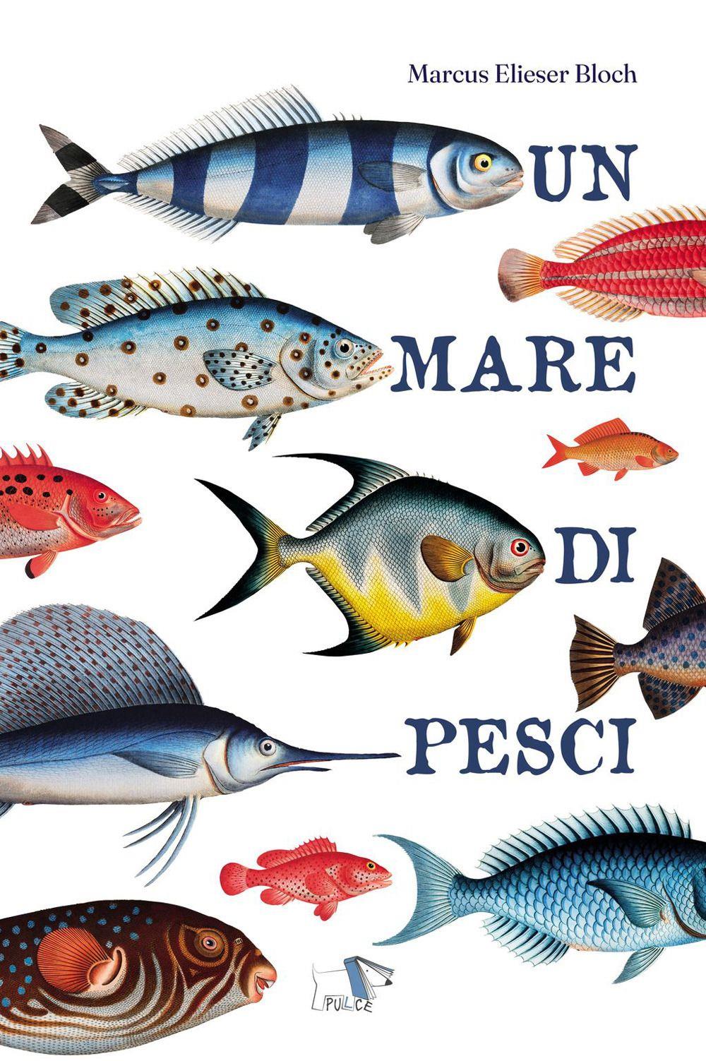 Emozioni Media Store