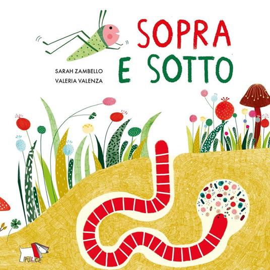 Sopra e sotto. Ediz. a colori - Sarah Zambello - copertina