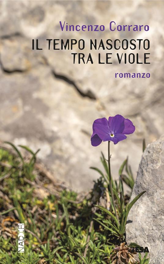 Il tempo nascosto tra le viole - Vincenzo Corraro - copertina
