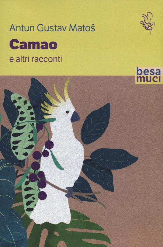 Camao e altri racconti - Antun Gustav Matos - copertina