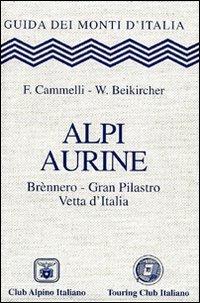 Alpi Aurine. Brennero, Gran Pilastro, Vetta d'Italia - Fabio Cammelli,Werner Beikircher - copertina
