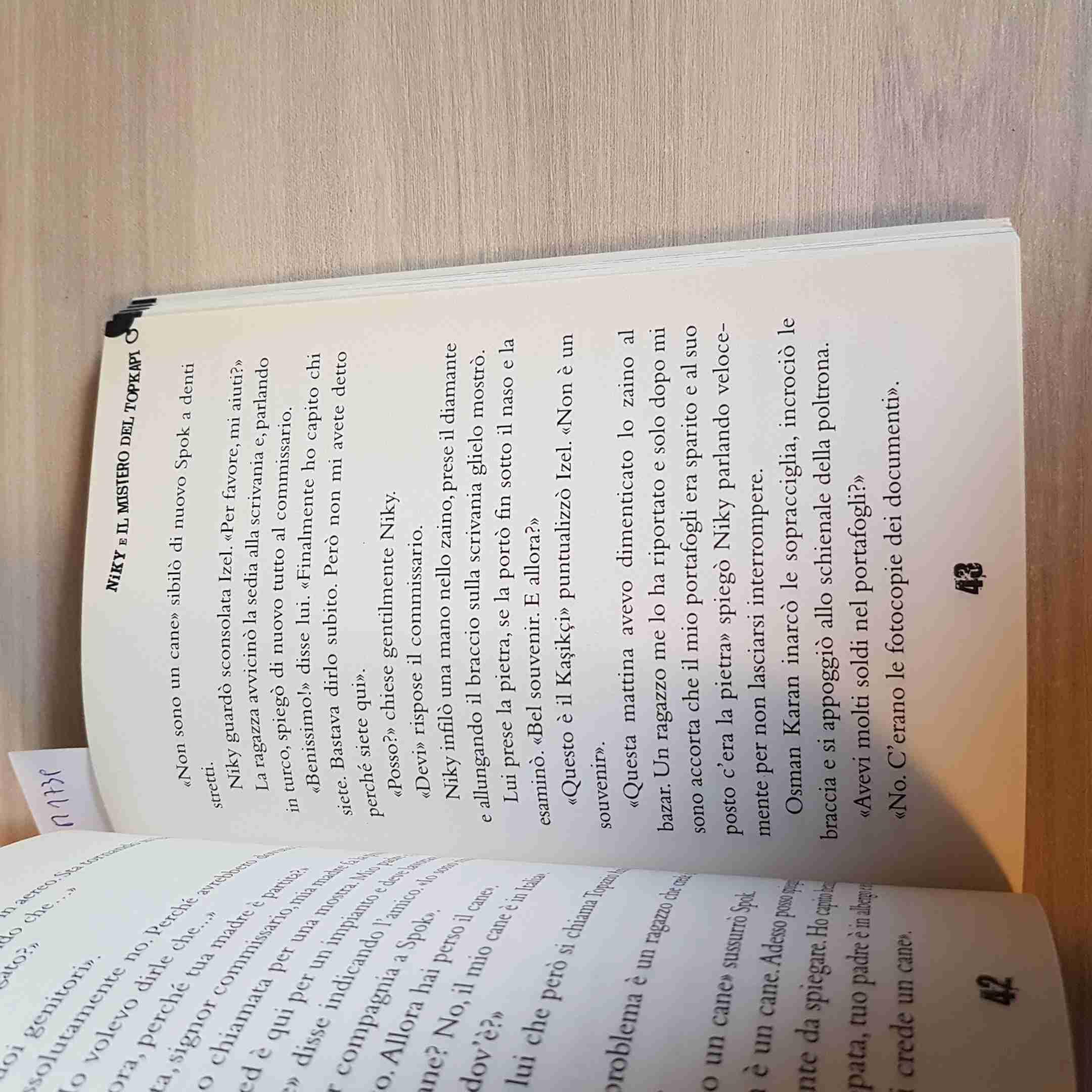 Niky e il mistero del Topkapi