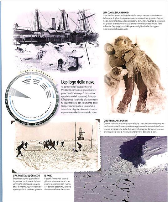 Eroi del mare. I più grandi navigatori della storia. Ediz. illustrata - Robyn Mundy,Nigel Rigby - 6