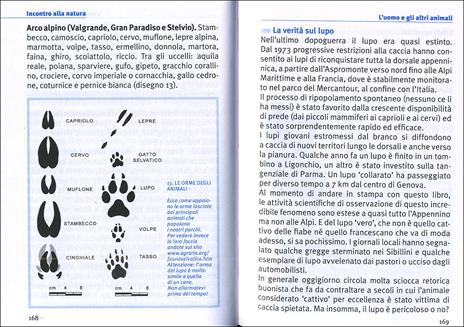 Viaggiare a piedi. Tutti i consigli per il trekking e l'escursionismo slow - Giorgio Kuts - 6