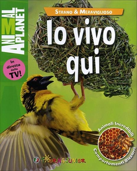 Io vivo qui - Karen McGhee - copertina