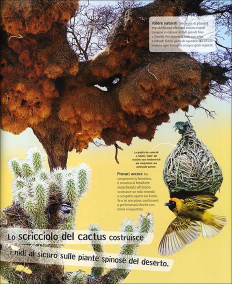 Io vivo qui - Karen McGhee - 3