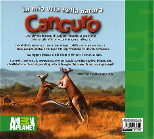 Canguro - Meredith Costain - 2