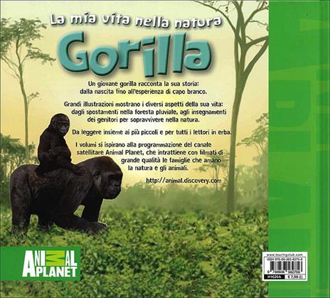 Gorilla - Meredith Costain - 2