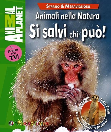 Animali nella natura. Si salvi chi può! - Margaret McPhee - copertina