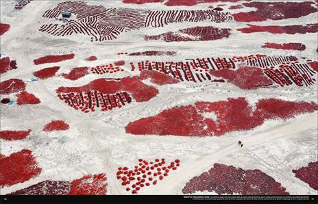 Deserti. Ediz. illustrata - George Steinmetz - 6