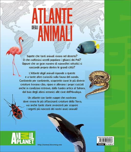 Atlante degli animali. Ediz. illustrata - Jinny Johnson - 2
