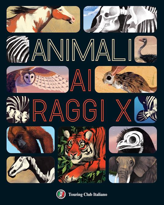 Animali ai raggi X - Jules Howard - copertina