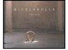 Nicola Bolla. Empireo. Catalogo della mostra (Milano 6 maggio- 30 giugno, 2008). Ediz. italiana e inglese - copertina