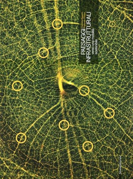Paesaggi infrastrutturali verso una mobilità sostenibile. Ediz. italiana e inglese - Carmine Guarino,Pasquale Pisano - copertina