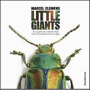 Little giants. Lo stupefacente mondo degli insetti - copertina
