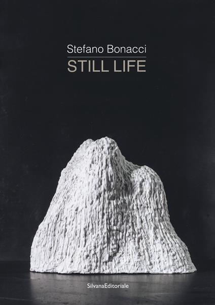 Stefano Bonacci. Still life. Catalogo della mostra (Segrate, 30 marzo-30 aprile 2019). Ediz. a colori - copertina