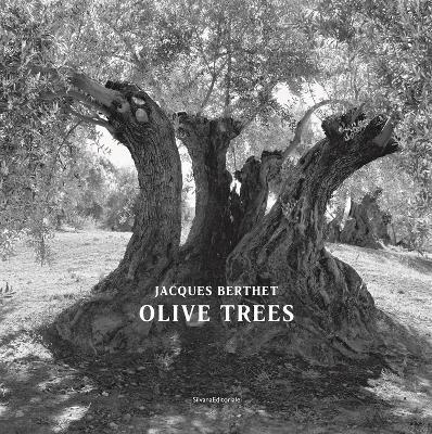 Olive Trees: Jacques Berthet - cover