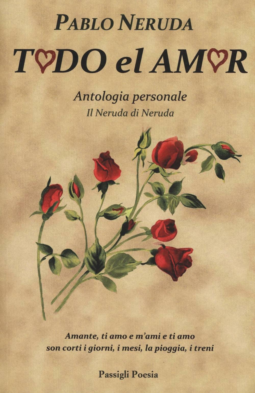 Libraccio