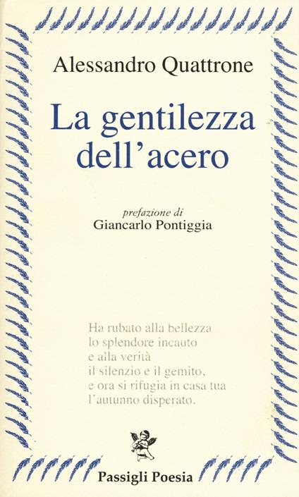 La gentilezza dell'acero - Alessandro Quattrone - copertina