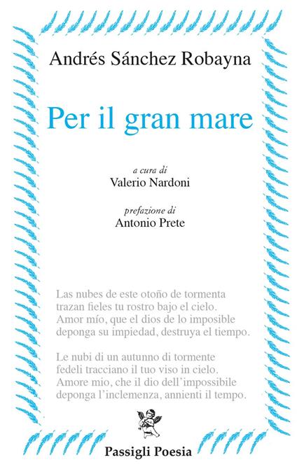 Per il gran mare - Andrés Sánchez Robayna - copertina