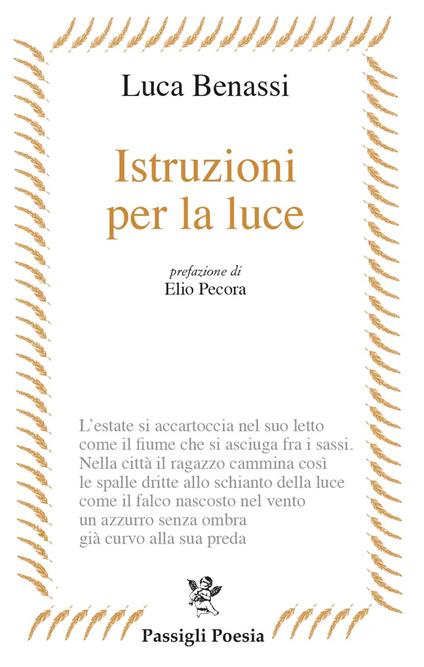 Istruzioni per la luce - Luca Benassi - copertina