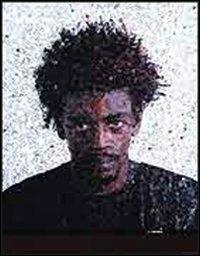 Vik Muniz. Ediz. inglese - copertina