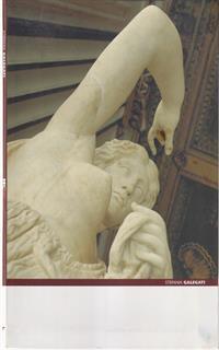 Stefania Galegati. Catalogo della mostra (Roma, 8 giugno-18 settembre 2005). Ediz. italiana e inglese