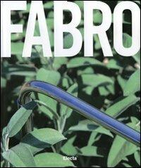 Luciano Fabro. Catalogo della mostra (Napoli, 21 ottobre 2007-7 gennaio 2008). Ediz. inglese - copertina