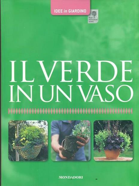 Il verde in un vaso - Richard Rosenfeld - 2