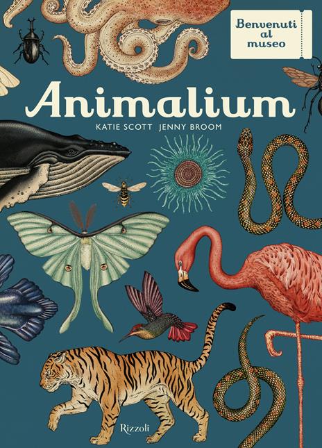 Animalium. Il grande museo degli animali. Ediz. illustrata - Katie Scott,Jenny Broom - copertina