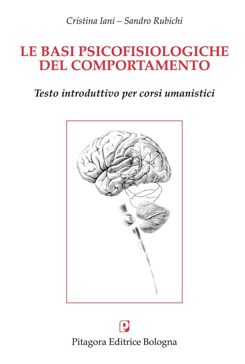 Libraccio