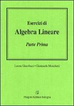 Esercizi di algebra lineare. Vol. 1