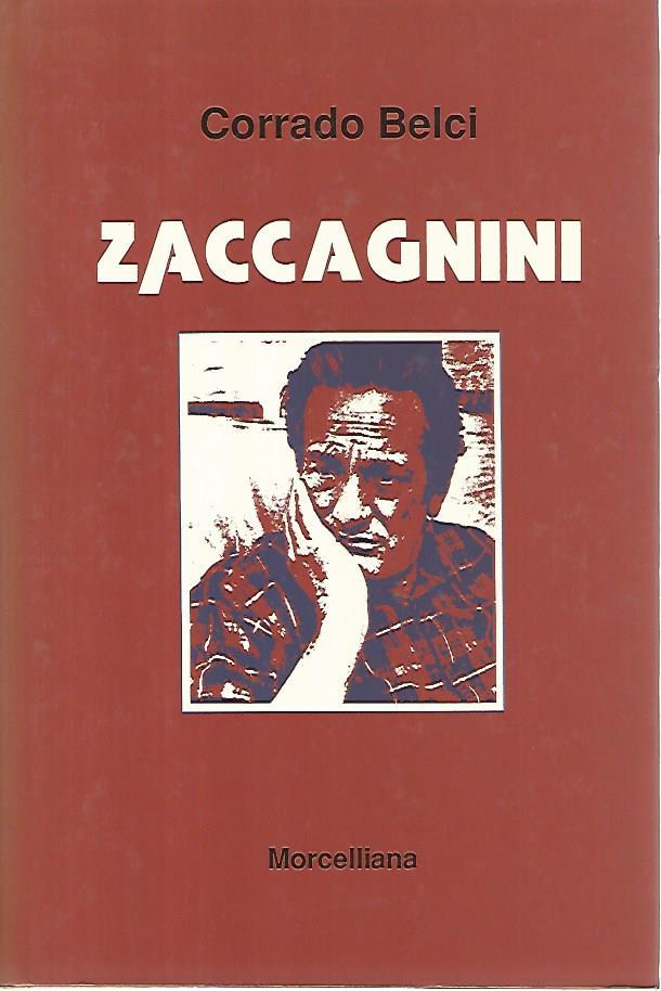 Librisaggi