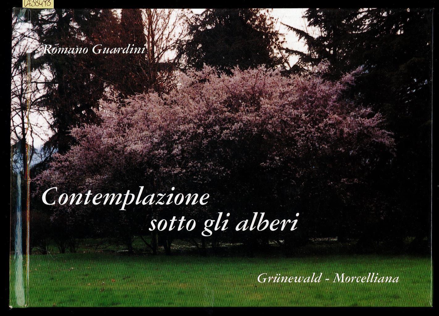 Libreria Trippini Sergio