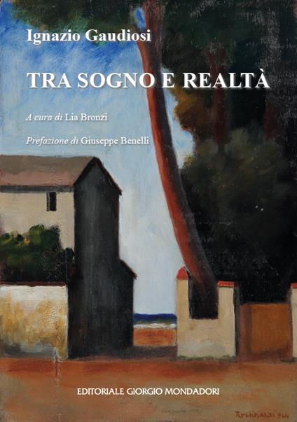 Tra sogno e realtà - Ignazio Gaudiosi - copertina