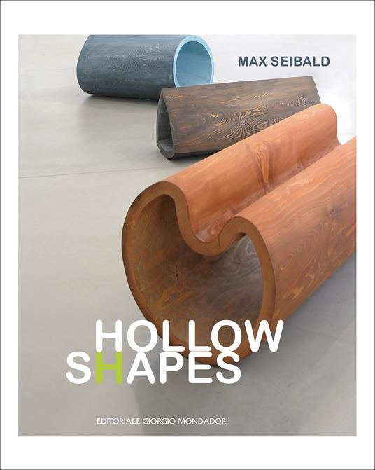 Max Seibald. Hollow shapes. Ediz. italiana e tedesca - copertina